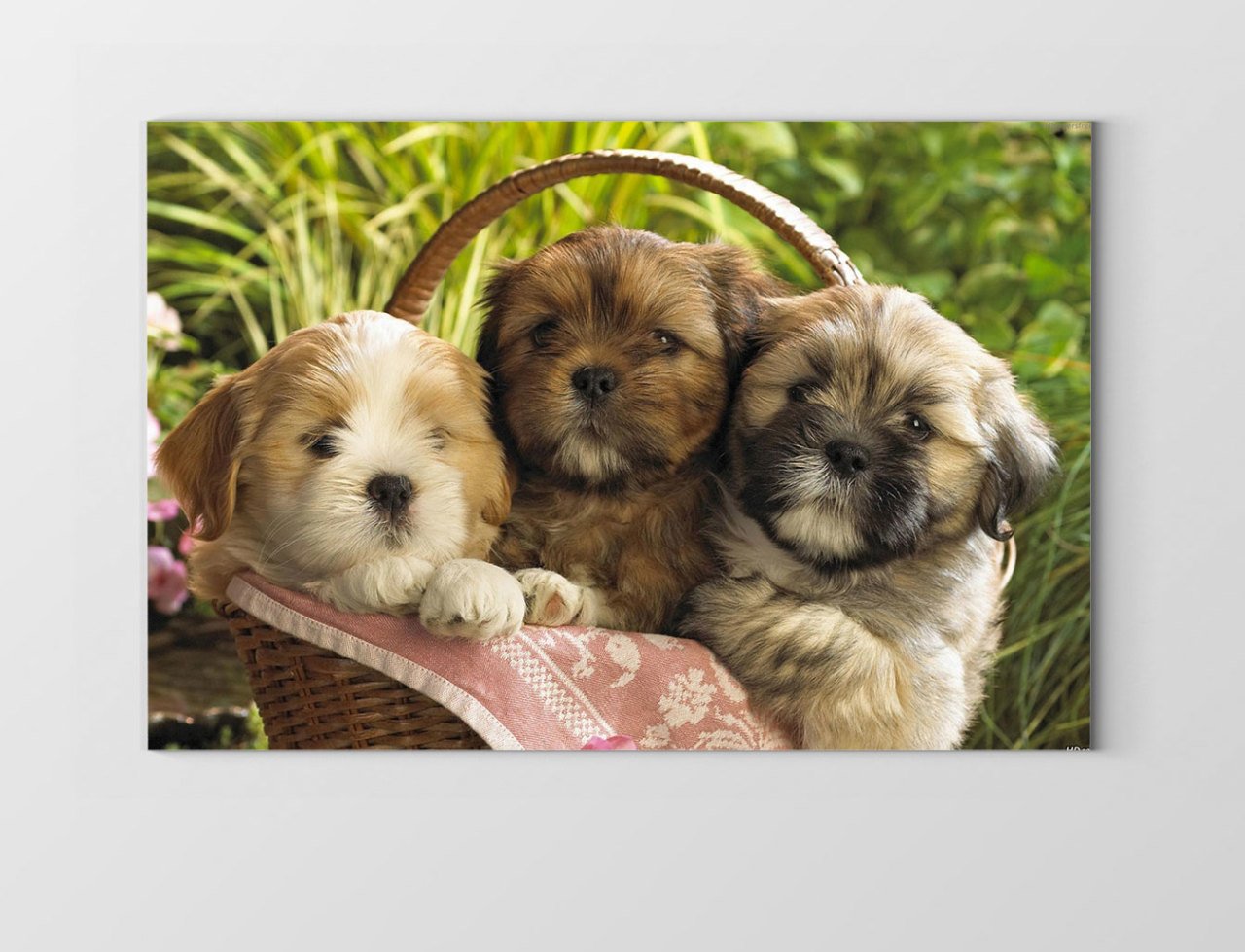 Yavru Köpekler Tablosu Çerçevesiz - 70x100