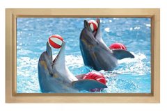 Yunuslar Tablosu Naturel Ahşap Çerçeve - 50x90