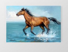 At ve Deniz Tablosu Çerçevesiz - 45x30