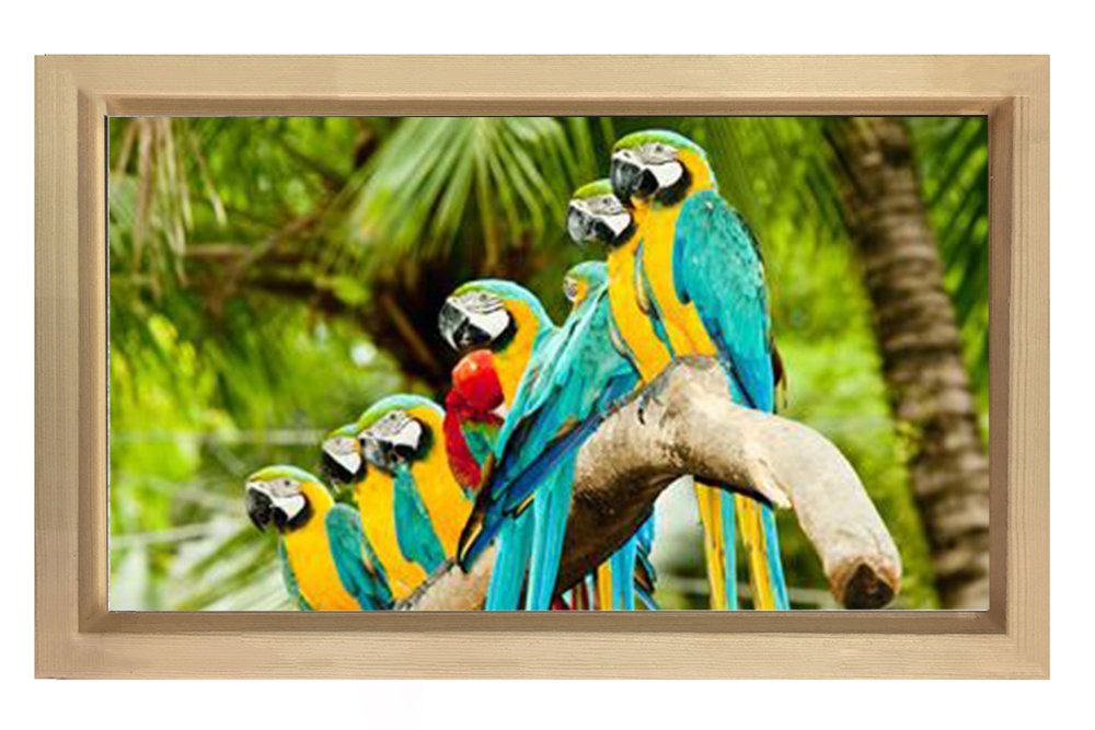 Papağanlar Tablosu Naturel Ahşap Çerçeve - 100x200