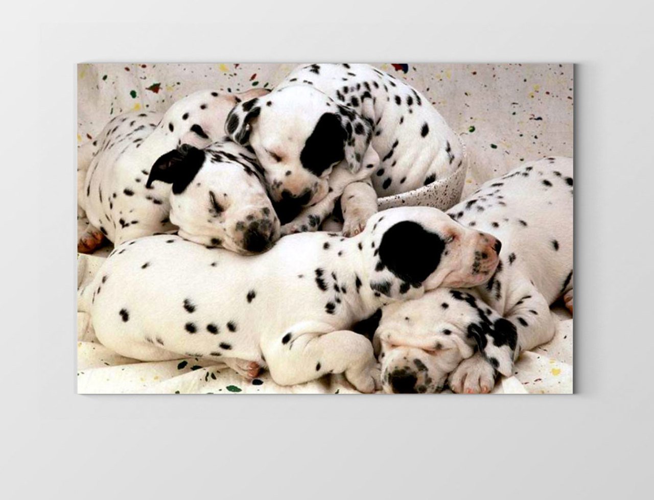 Köpekler Tablosu Çerçevesiz - 40x60