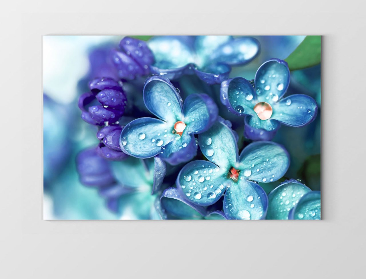 Mavi Menekşe Çiçekleri Tablosu Çerçevesiz - 40x60