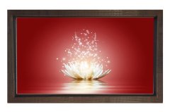 Işıltılı Pembe Nilüfer Tablosu Kahverengi Ahşap Çerçeve - 45x30