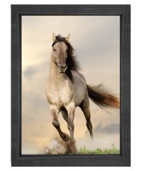 Koşan at tablosu Siyah Ahşap Çerçeve - 50x70