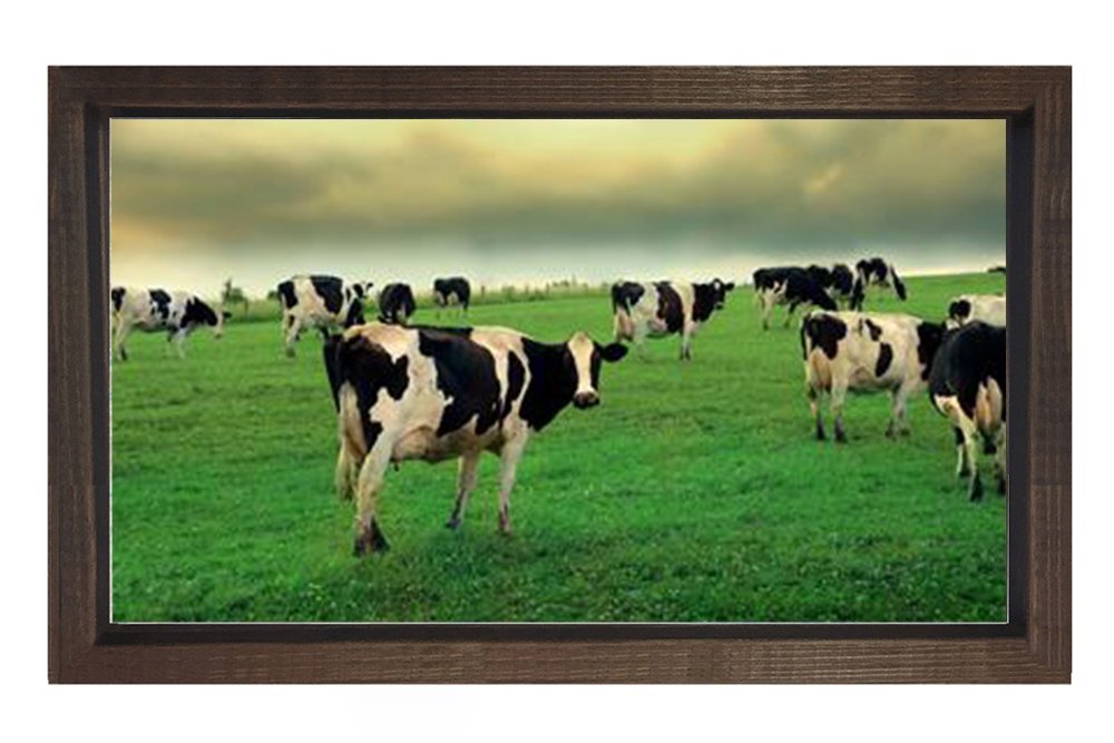 İnekler Otlarken Tablosu Kahverengi Ahşap Çerçeve - 50x70
