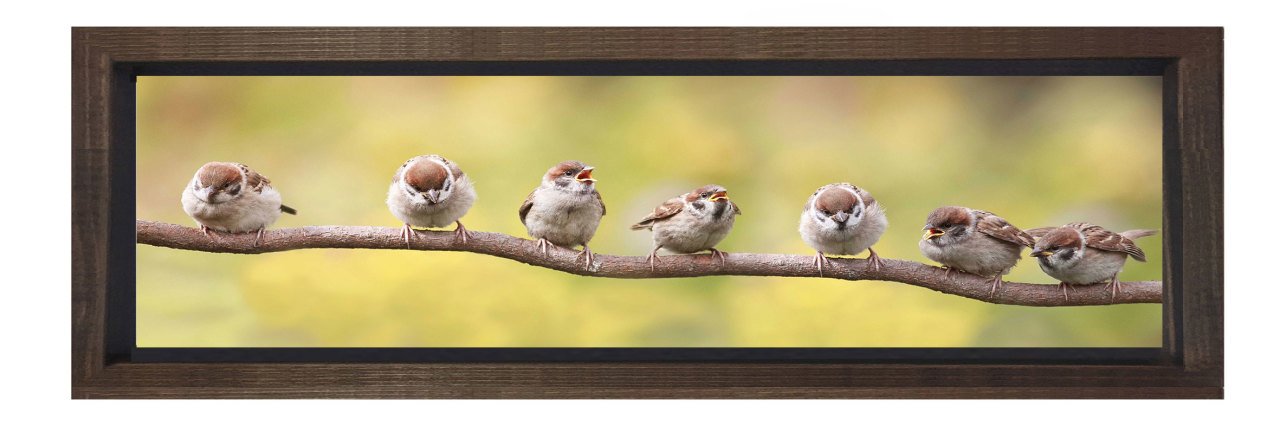 Sevimli Kuşlar Tablosu Kahverengi Ahşap Çerçeve - 200x70