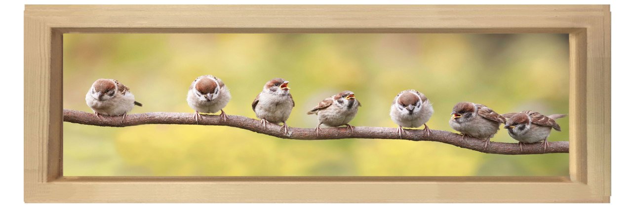 Sevimli Kuşlar Tablosu Naturel Ahşap Çerçeve - 180x60