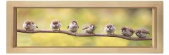 Sevimli Kuşlar Tablosu Naturel Ahşap Çerçeve - 90x30