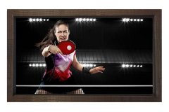 Masa Tenisi Tablosu Kahverengi Ahşap Çerçeve - 50x90
