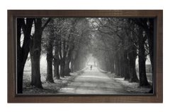 Ağaçlı Yol Siyah beyaz Tablosu Kahverengi Ahşap - 100x150