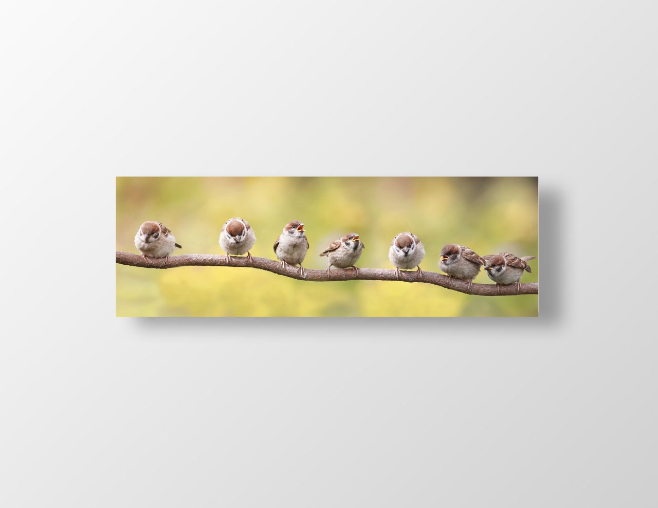 Sevimli Kuşlar Tablosu Çerçevesiz - 120x40