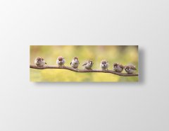 Sevimli Kuşlar Tablosu Çerçevesiz - 120x40