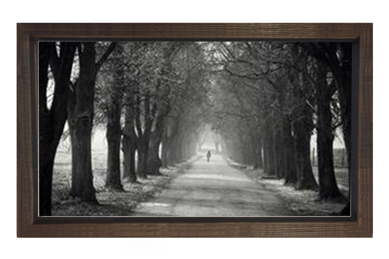 Ağaçlı Yol Siyah beyaz Tablosu Kahverengi Ahşap - 45x30