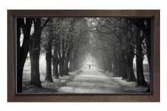 Ağaçlı Yol Siyah beyaz Tablosu Kahverengi Ahşap - 45x30