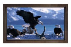 Kartal Ailesi Tablosu Kahverengi Ahşap Çerçeve - 70x100