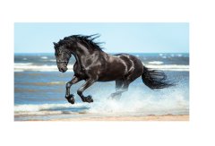 Siyah at Tablosu Çerçevesiz - 45x30