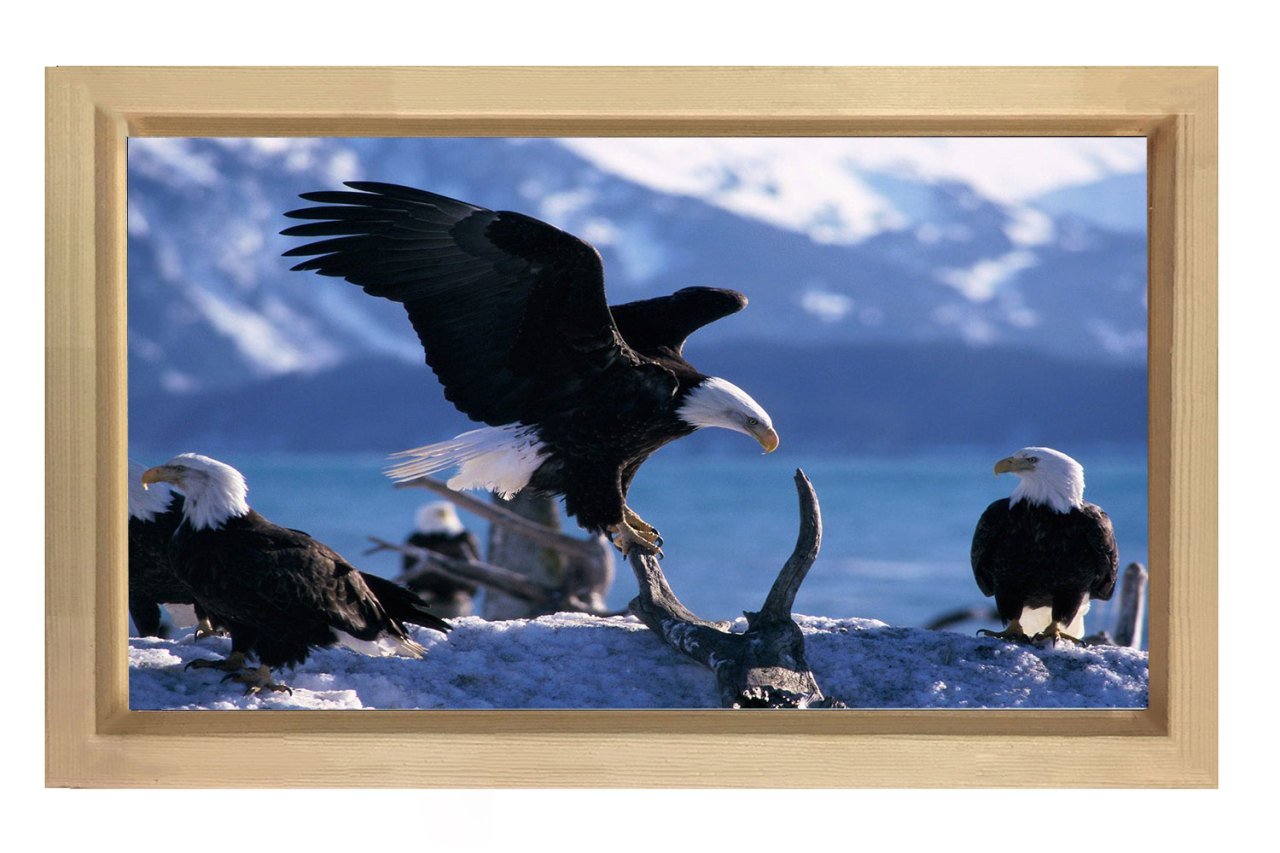 Kartal Ailesi Tablosu Naturel Ahşap Çerçeve - 70x100