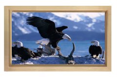Kartal Ailesi Tablosu Naturel Ahşap Çerçeve - 70x100