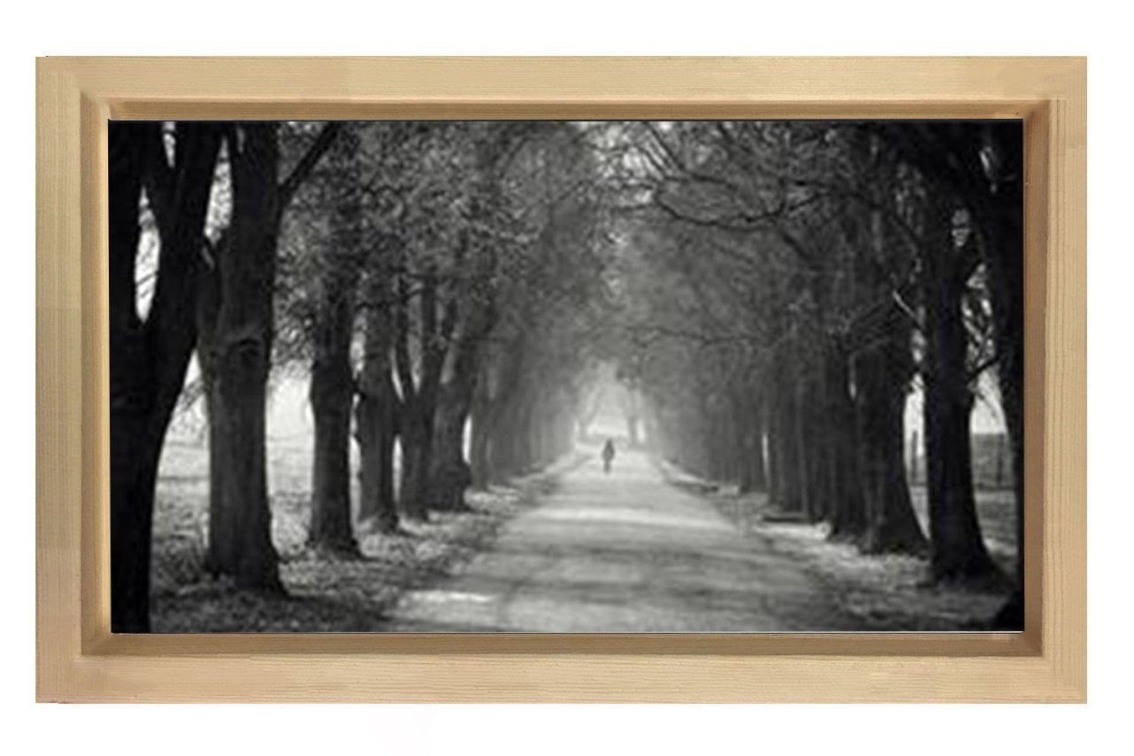 Ağaçlı Yol Siyah beyaz Tablosu Naturel Ahşap - 70x100