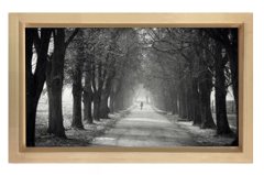 Ağaçlı Yol Siyah beyaz Tablosu Naturel Ahşap - 70x100
