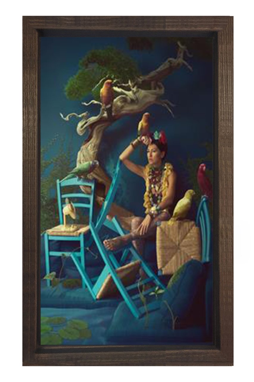 Kuşlar Kadını Tablosu Kahverengi Ahşap Çerçeve - 50x70