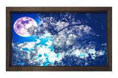 Muhtesem Gece Tablosu Kahverengi Ahşap Çerçeve - 50x90
