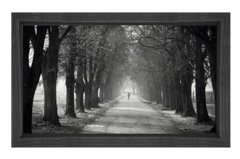 Ağaçlı Yol Siyah beyaz Tablosu Siyah Ahşap - 50x70