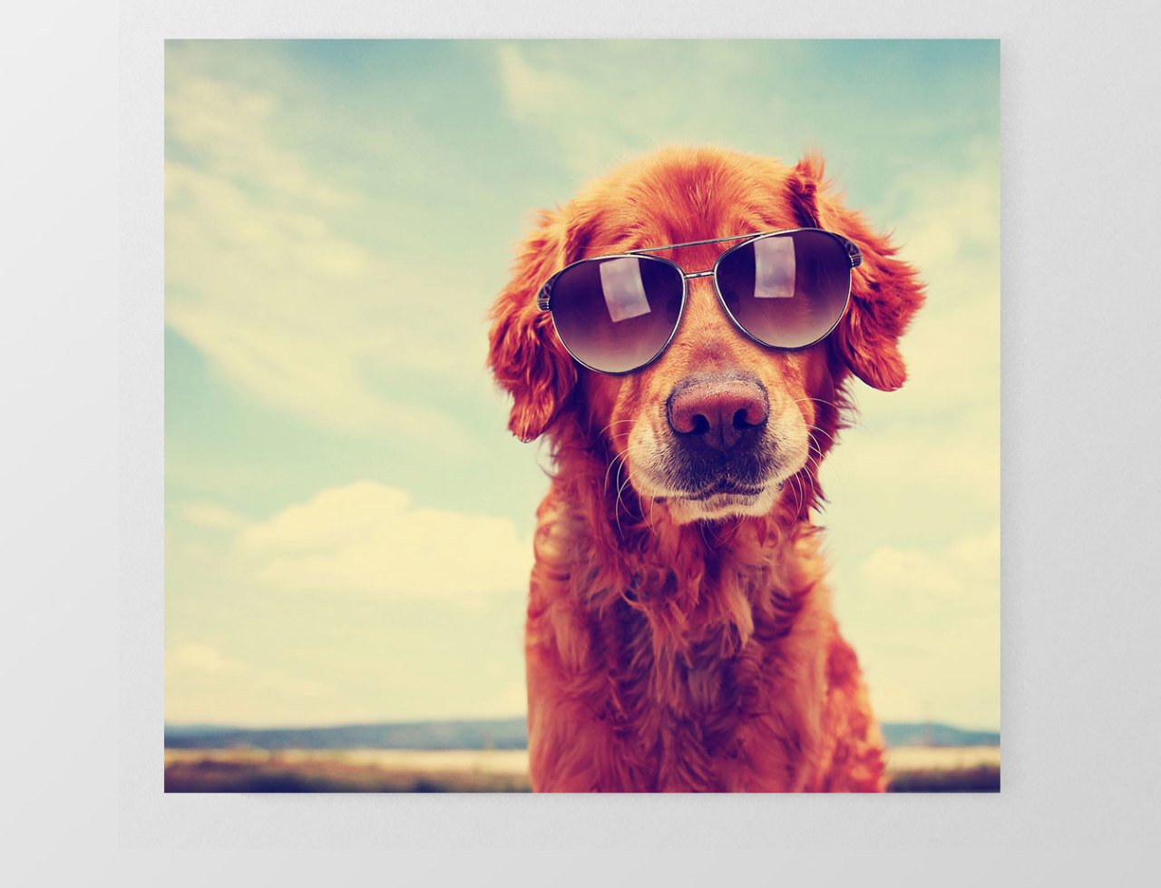 Köpek Tablosu Çerçevesiz - 90x90