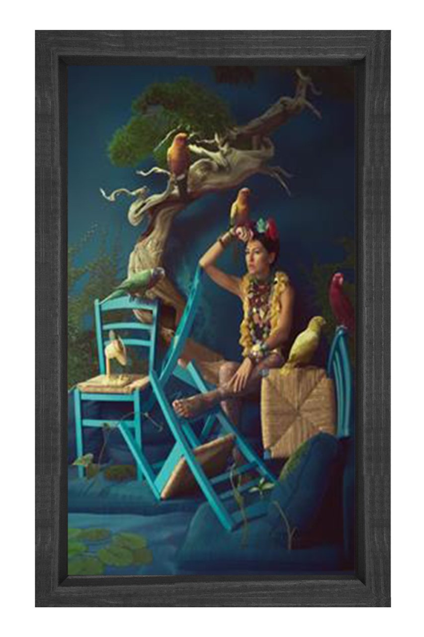 Kuşlar Kadını Tablosu Siyah Ahşap Çerçeve - 40x60