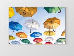 Şemsiyeler Tablosu Çerçevesiz - 50x70