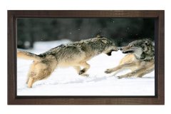 Kurtlar Tablosu Kahverengi Ahşap - 100x150