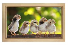 Serçeler Tablosu Naturel Ahşap Çerçeve - 70x100