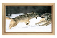 Kurtlar Tablosu Naturel Ahşap - 100x200