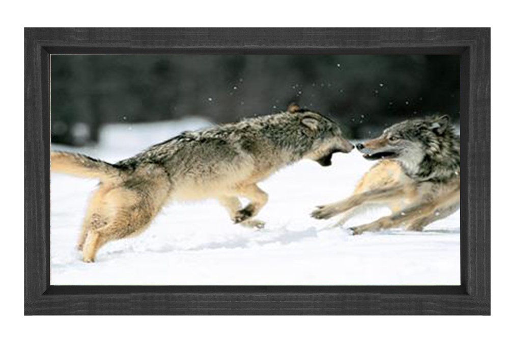 Kurtlar Tablosu Siyah Ahşap - 45x30
