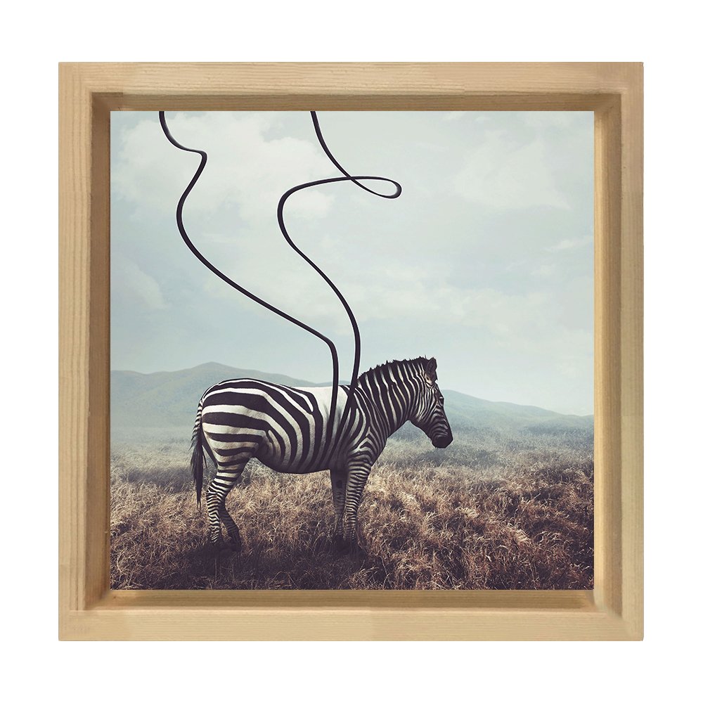 Zebra Tablosu Naturel Ahşap Çerçeve - 100x100