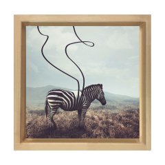 Zebra Tablosu Naturel Ahşap Çerçeve - 100x100