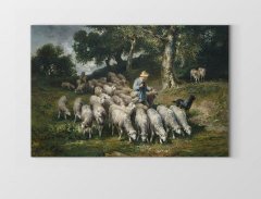 Çoban Ve Koyunlar Manzara Tablosu Çerçevesiz - 100x150