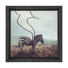 Zebra Tablosu Siyah Ahşap Çerçeve - 40x40