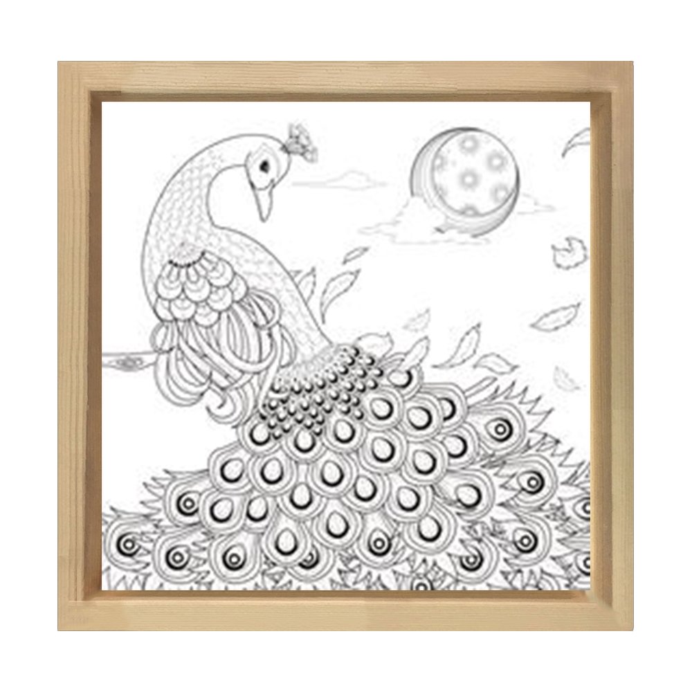Muhteşem Tavus Kuşu Tablosu Naturel Ahşap Çerçeve - 40x40