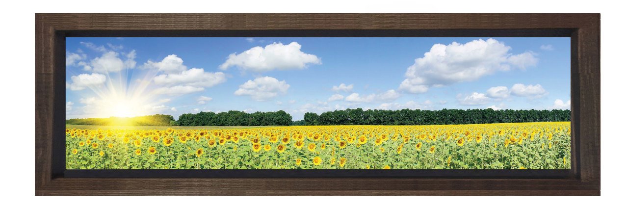 Ayçiçeği  Tarlası Tablosu Kahverengi Ahşap Çerçeve - 180x60