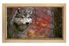 Kurt Tablosu Naturel Ahşap - 70x100