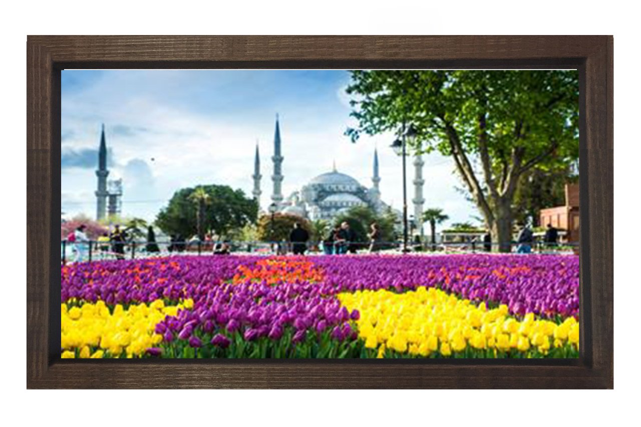 Sultan Ahmet Tablosu Kahverengi Ahşap Çerçeve - 50x90