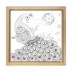 Muhteşem Tavus Kuşu Tablosu Naturel Ahşap Çerçeve - 80x80