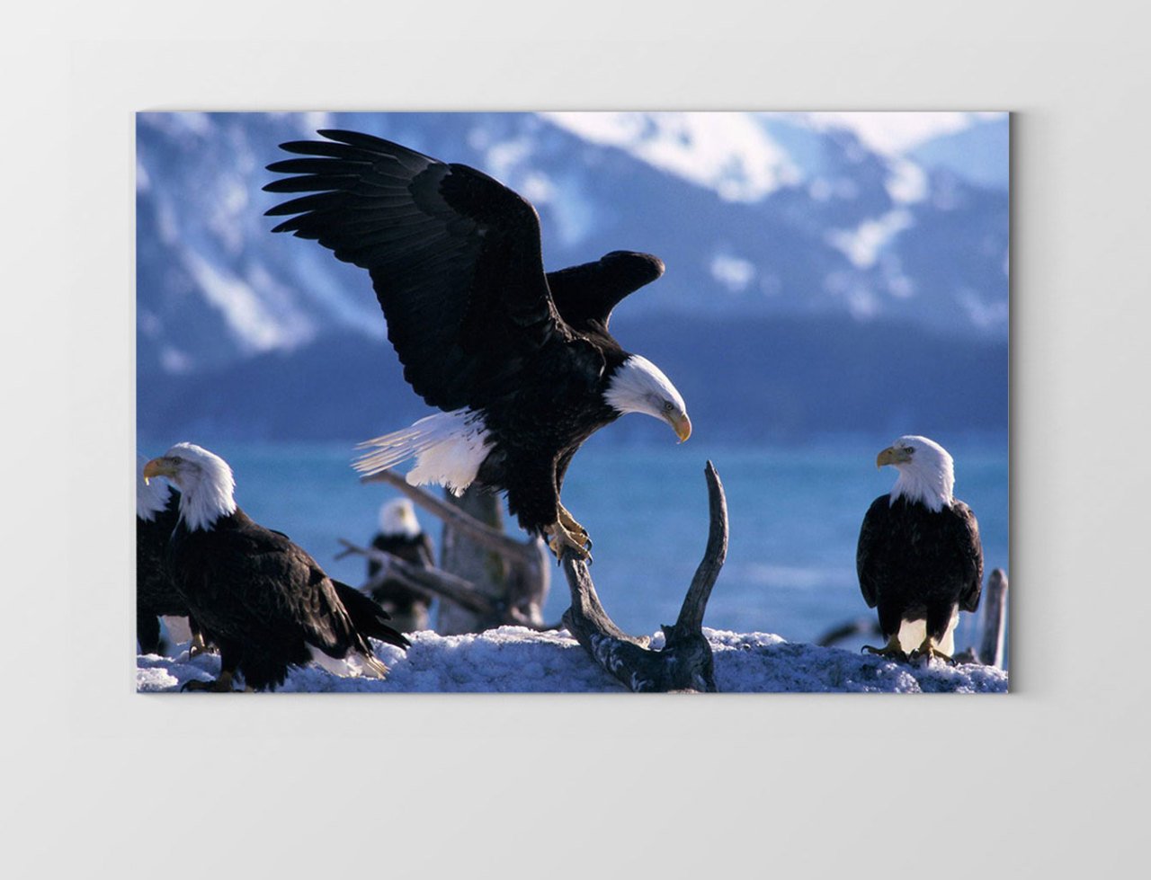 Kartal Ailesi Tablosu Çerçevesiz - 100x200