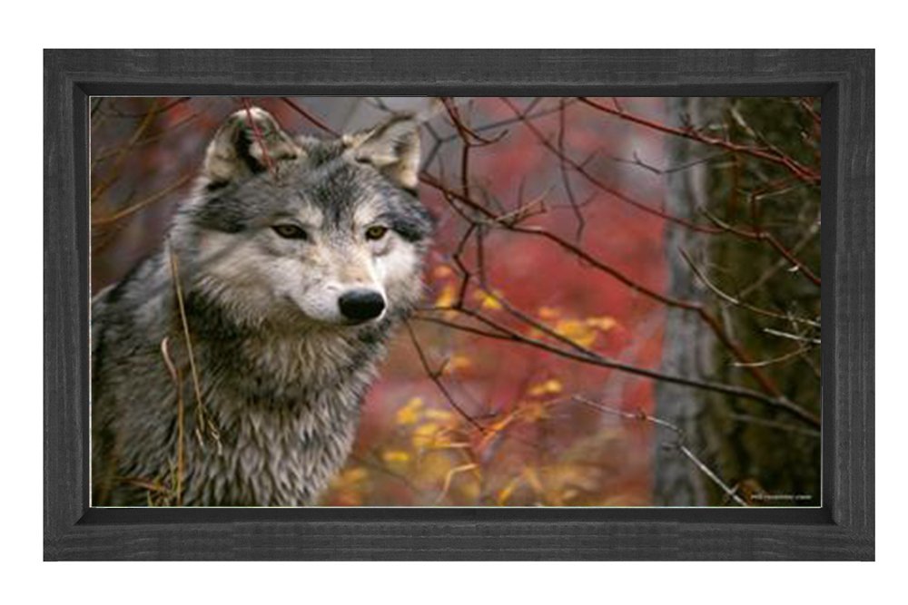 Kurt Tablosu Siyah Ahşap - 40x60