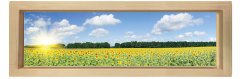 Ayçiçeği  Tarlası Tablosu Naturel Ahşap Çerçeve - 180x60