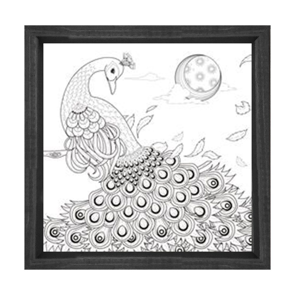 Muhteşem Tavus Kuşu Tablosu Siyah Ahşap Çerçeve - 60x60