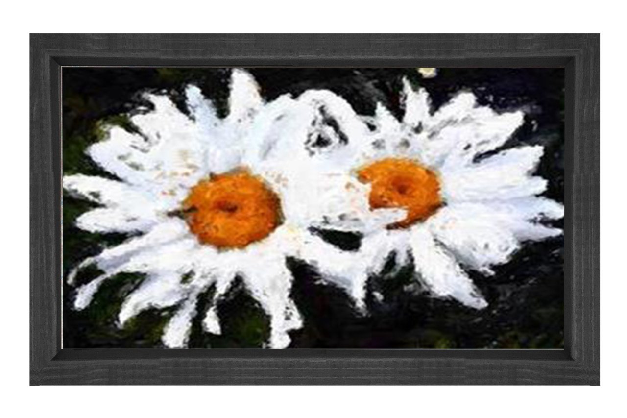 Çift Papatyalar Çiçekler Tablosu Siyah Ahşap - 100x150
