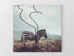 Zebra Tablosu Çerçevesiz - 90x90