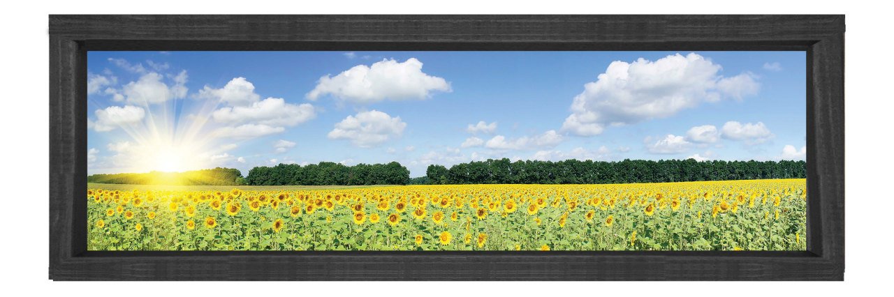 Ayçiçeği  Tarlası Tablosu Siyah Ahşap Çerçeve - 150x50